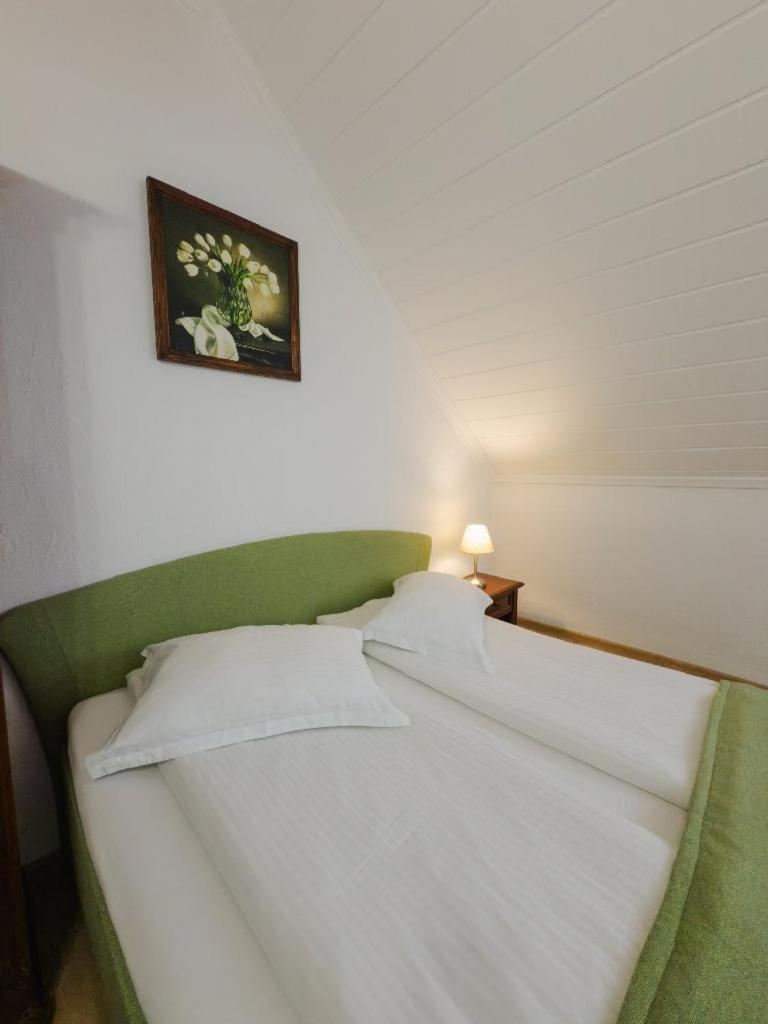 סיגישוארה Hotel Claudiu מראה חיצוני תמונה